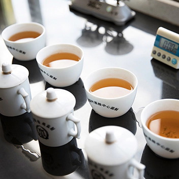 Hangzhou Baoda Tea Co., Ltd.